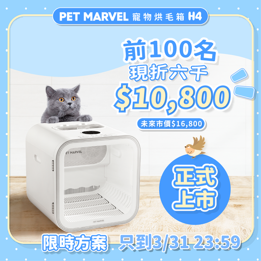 Pet Marvel 寵物烘毛箱 H4 |𝟭𝟱分鐘 𝗖𝗛𝗘𝗖𝗞 𝗢𝗨𝗧!