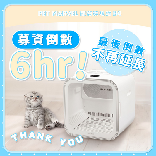 𝗣𝗲𝘁 𝗠𝗮𝗿𝘃𝗲𝗹 寵物烘毛箱 𝗛𝟰 |𝟭𝟱分鐘 𝗖𝗛𝗘𝗖𝗞 𝗢𝗨𝗧!