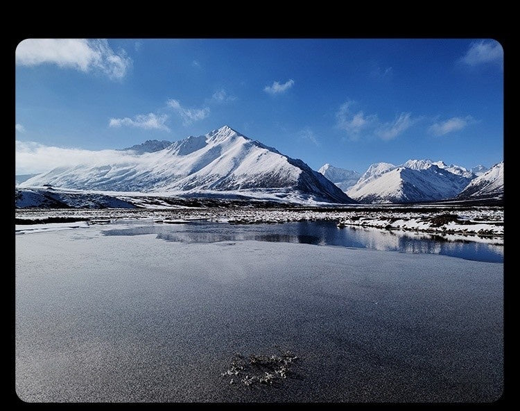 【Xiaomi小米】小米 11 Pro (可免費代刷Pixel OS)