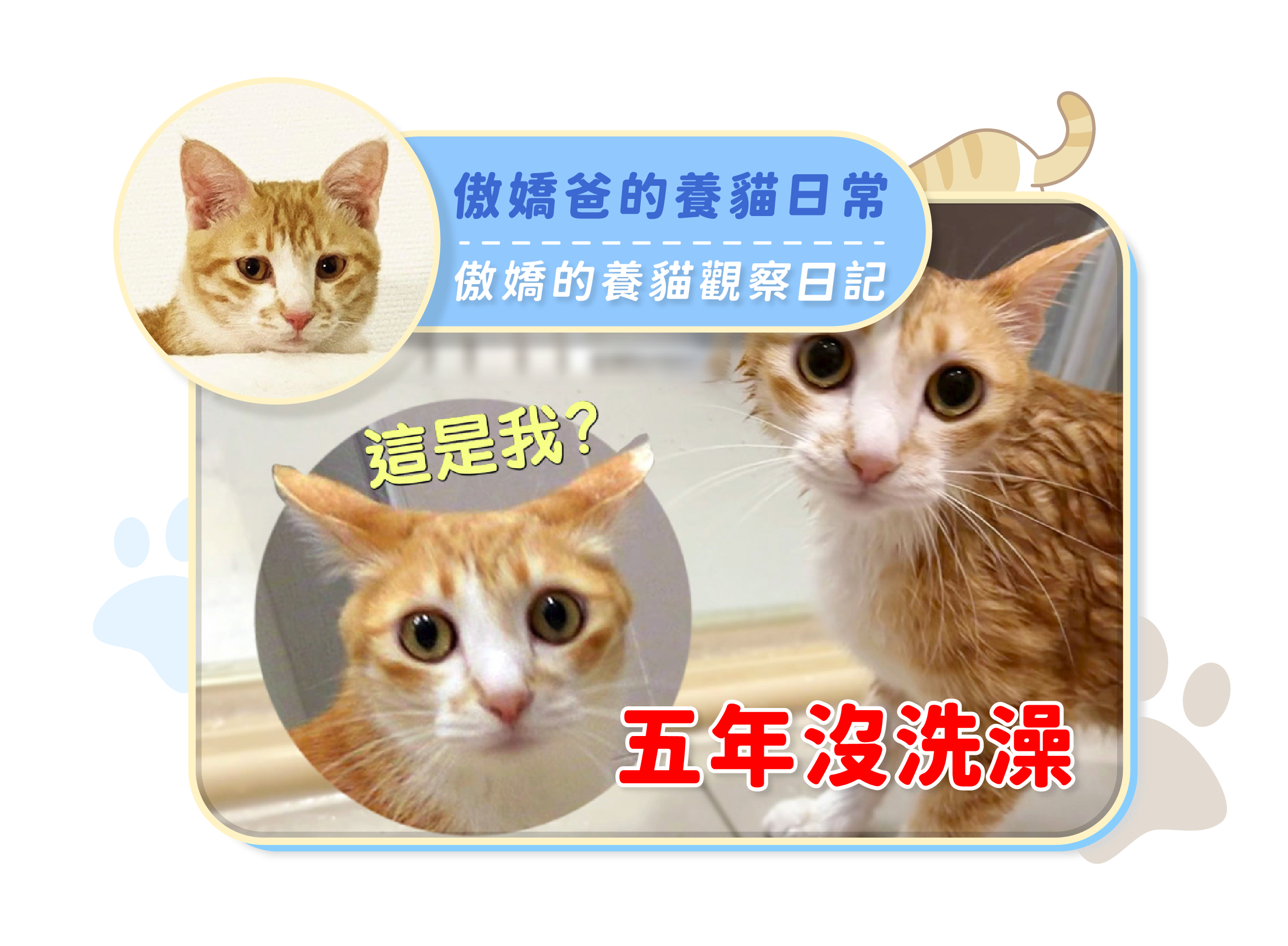 載入影片：